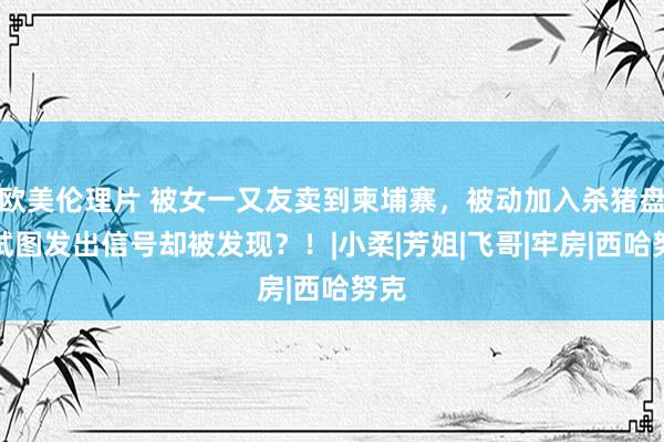 欧美伦理片 被女一又友卖到柬埔寨，被动加入杀猪盘，试图发出信号却被发现？！|小柔|芳姐|飞哥|牢房|西哈努克