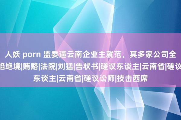 人妖 porn 监委逼云南企业主就范，其多家公司全部财产被冻结陷绝境|贿赂|法院|刘猛|告状书|磋议东谈主|云南省|磋议讼师|技击西席