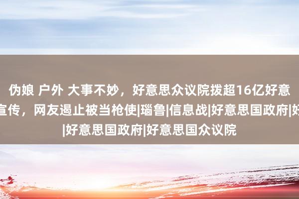 伪娘 户外 大事不妙，好意思众议院拨超16亿好意思元，搞反华宣传，网友遏止被当枪使|瑙鲁|信息战|好意思国政府|好意思国众议院